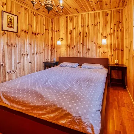 Domek alpejski Miotkowo *