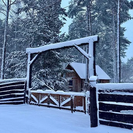 Miotkowo * Kamienica Krolewska