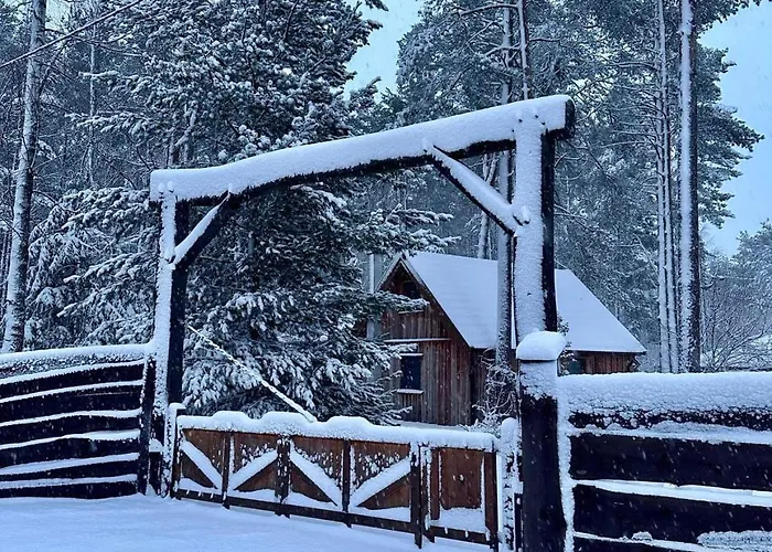 Miotkowo * Kamienica Krolewska