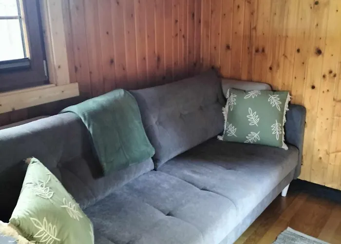 Miotkowo * Kamienica Krolewska